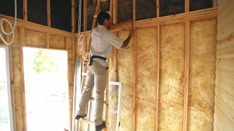 Best Insulation for New Construction  in Carter, TX