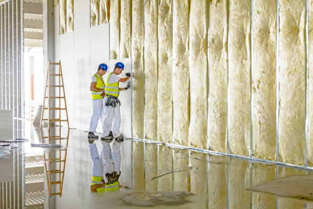 Best Blown-In Insulation  in Carter, TX